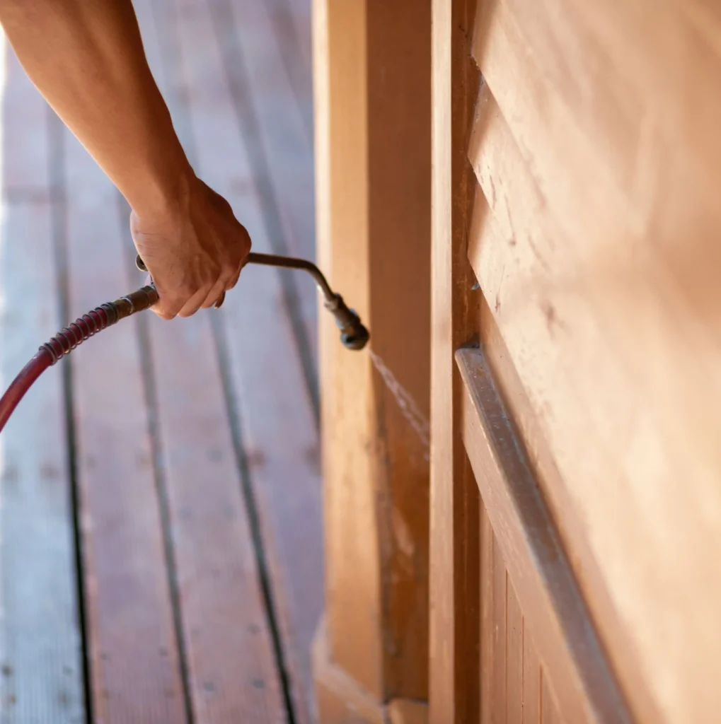Trusted Pest Control - Henrietta Pest Control Pros | Henrietta, NY | 585-460-8838